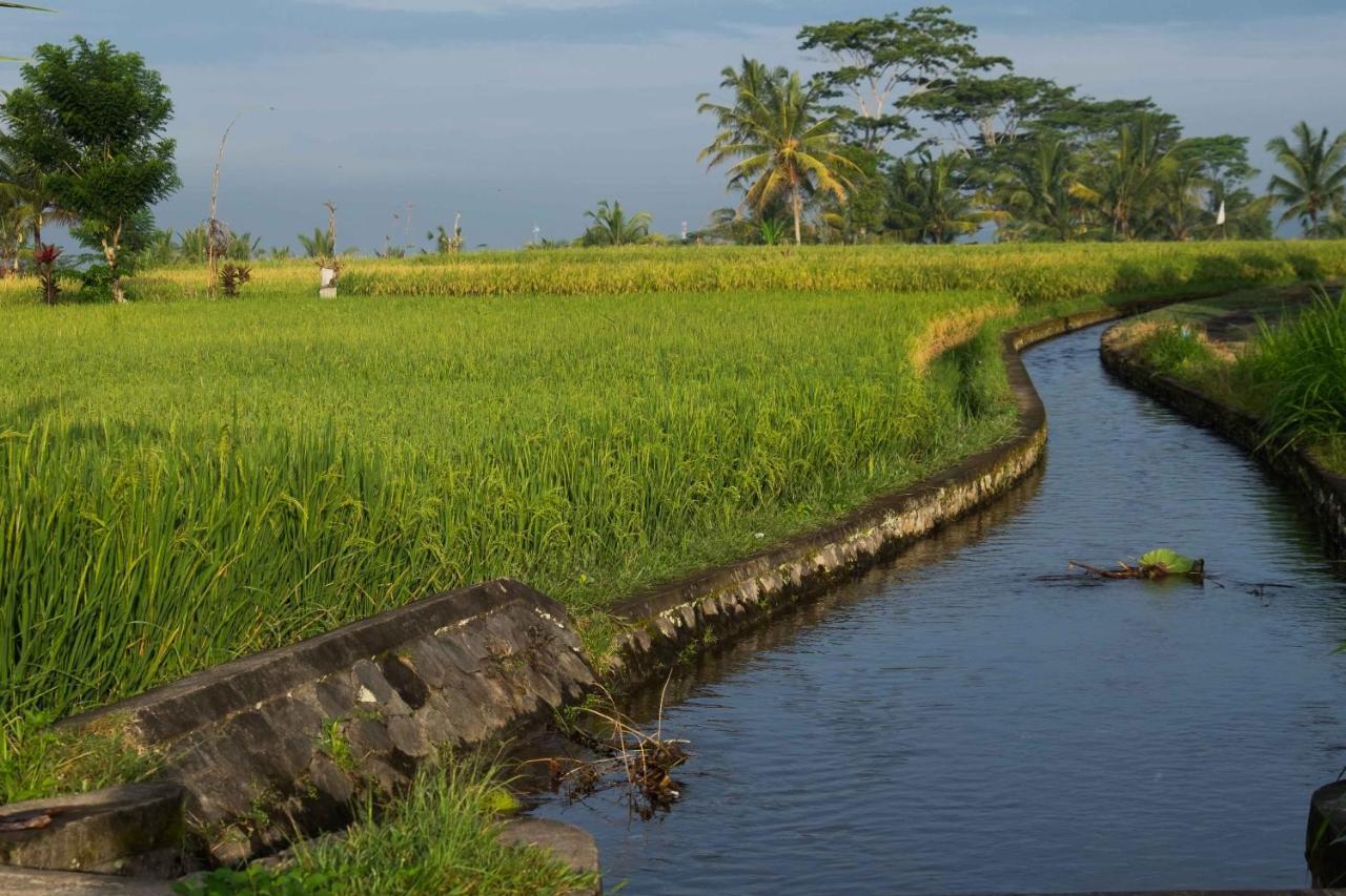 Hotel Bali Sawah Indah Ubud Exterior foto